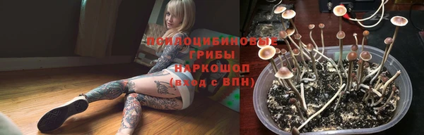 молекула духа Алексин