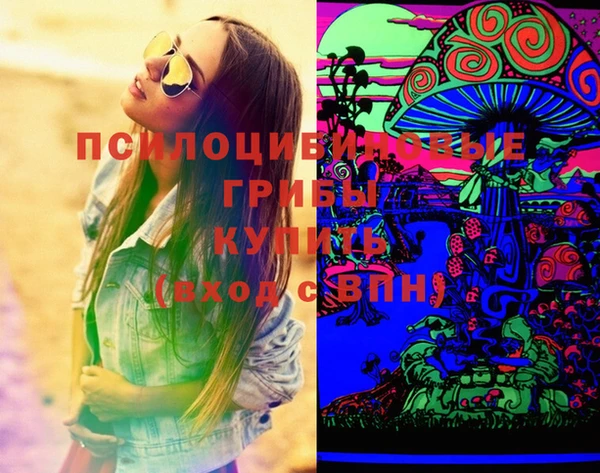 молекула духа Алексин