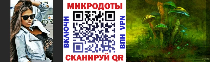 Псилоцибиновые грибы Cubensis  Пласт 