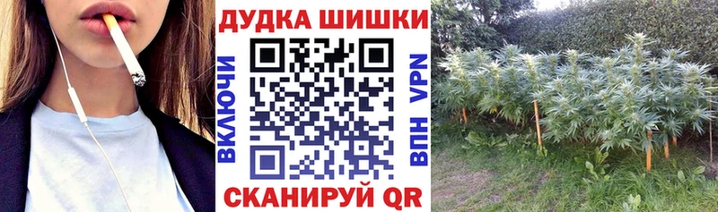 Шишки марихуана конопля  Пласт 